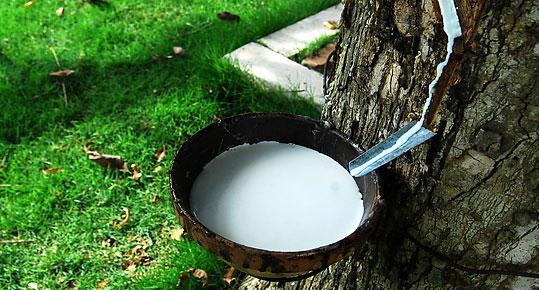 1592448051990339.jpg u=3768794138,115778240&fm=26&gp=0.jpg